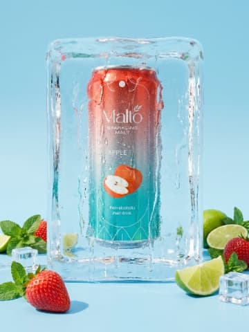 Ice Block